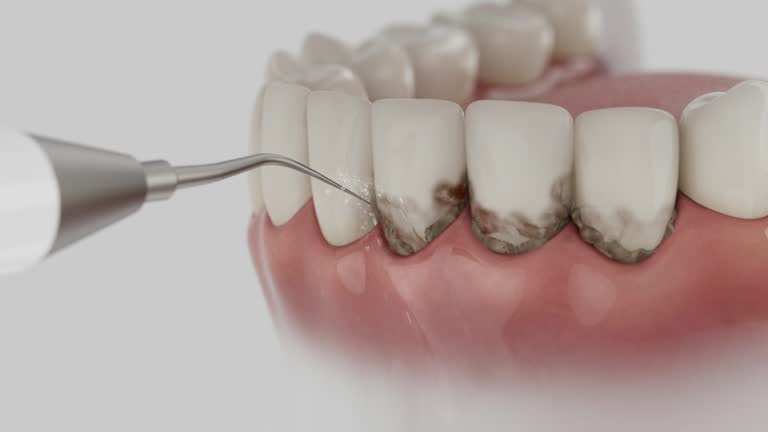 Reliable Dental contractor in Calcutta, OH by Dentist Open Now